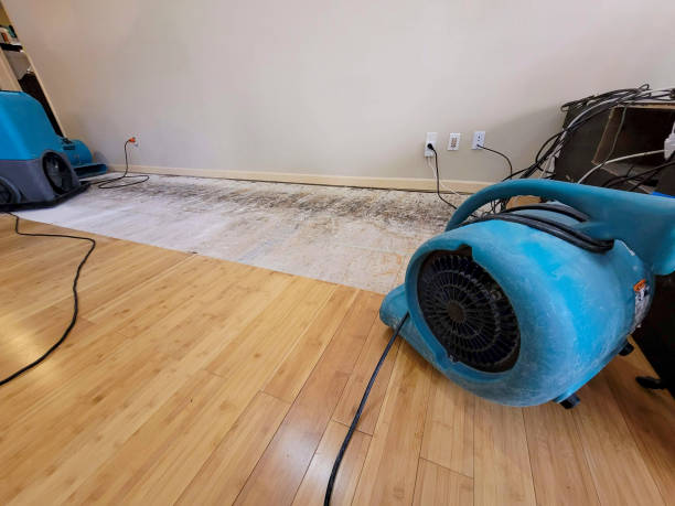 Professional Water Damage Repair technician working in Elverson, PA